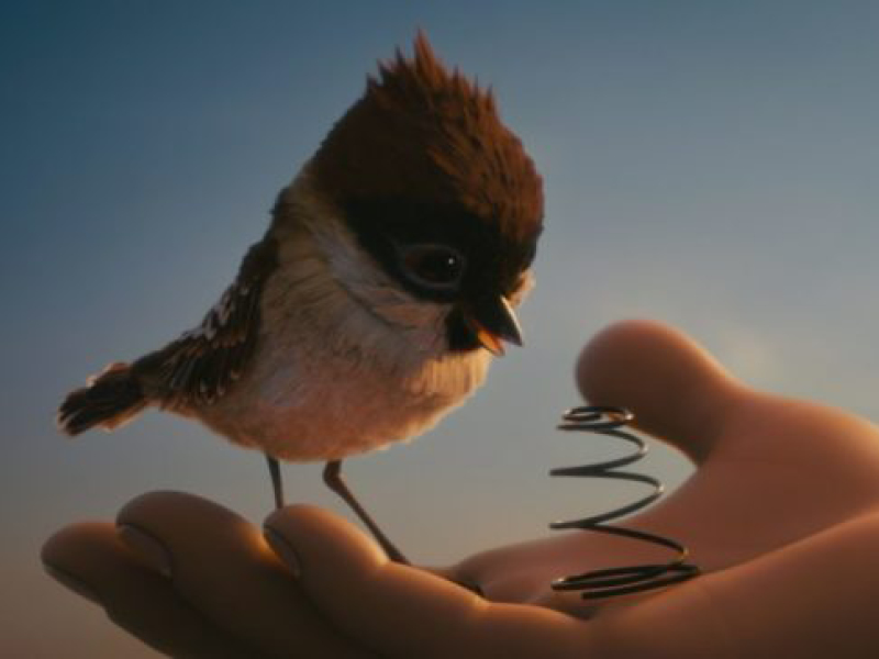 Animated Shorts