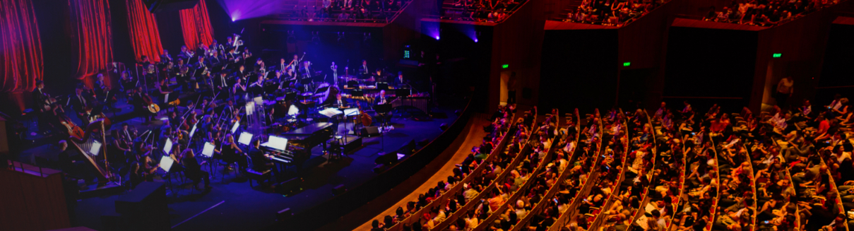 Concert venue with audience and performers